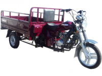 Трицикл RACER RC200ZH МУРАВЕЙ